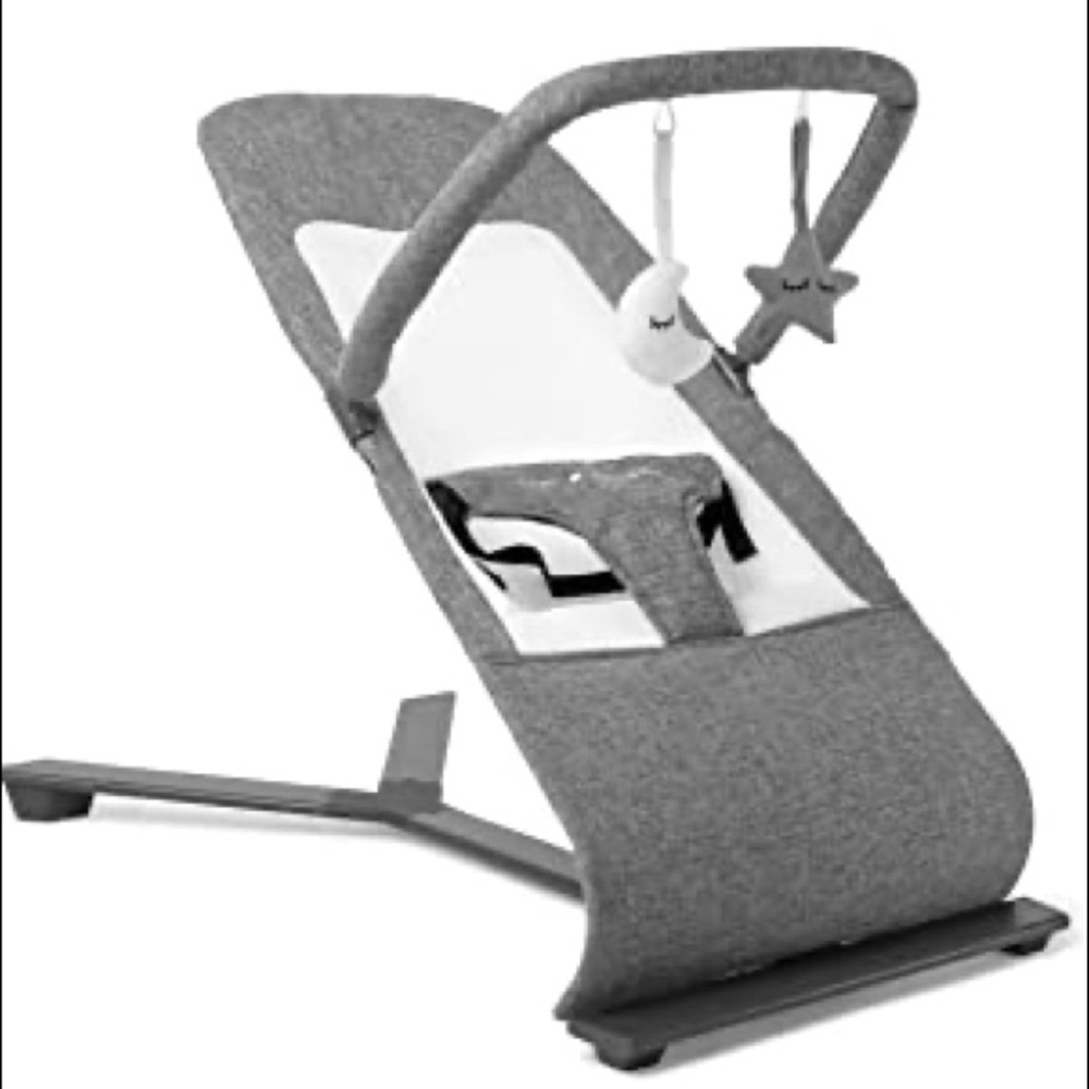 Baby Delight Alpine Deluxe Portable Bouncer, Charcoal Tweedo
